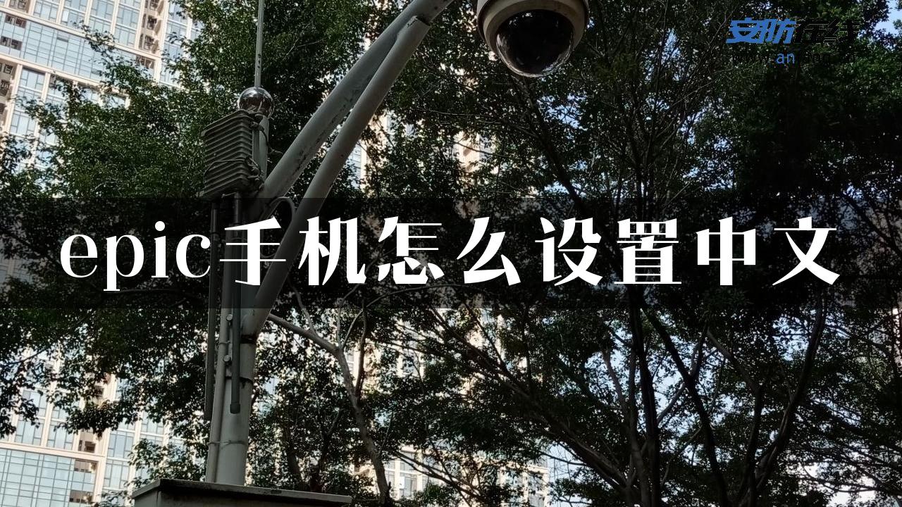 epic手机怎么设置中文