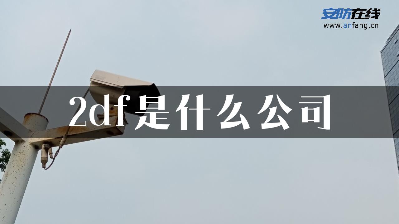 2df是什么公司