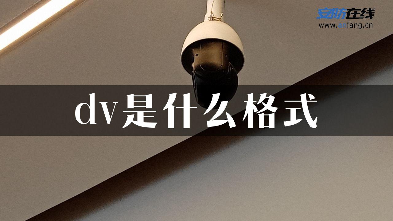 dv是什么格式