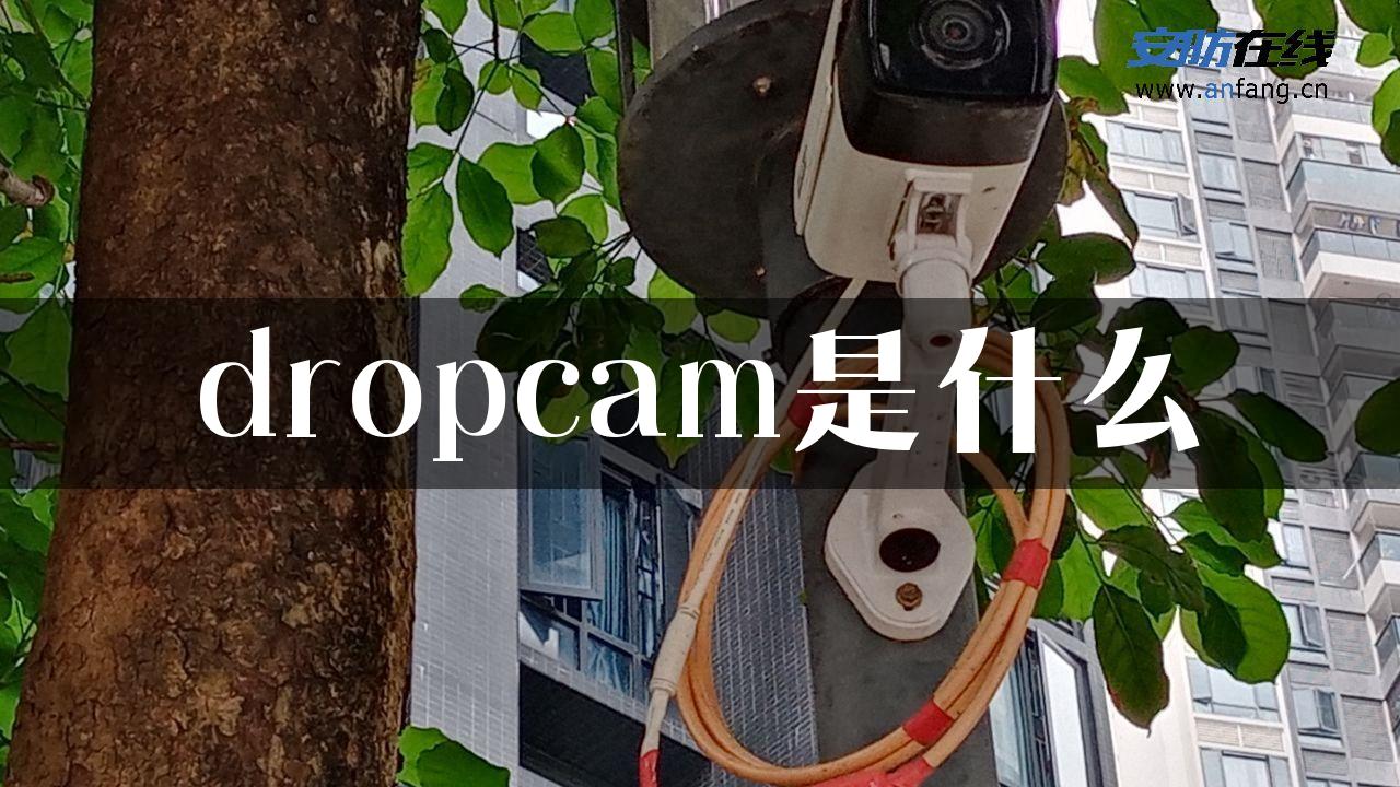 dropcam是什么