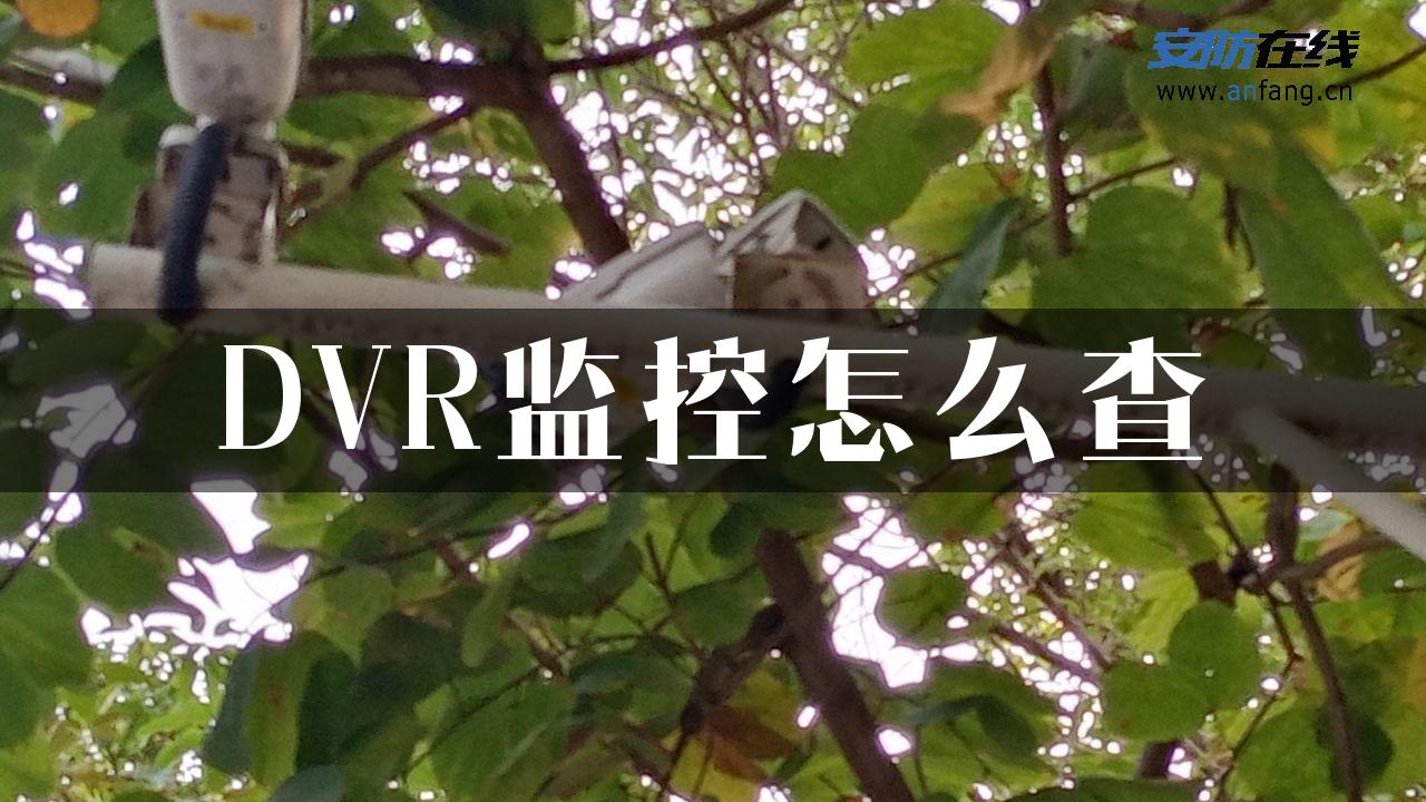 DVR监控怎么查