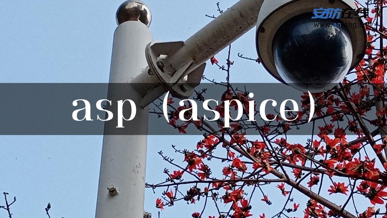 asp（aspice）