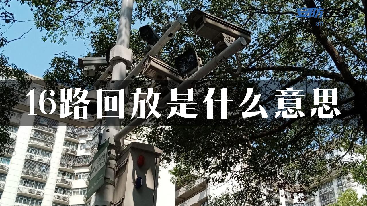 16路回放是什么意思