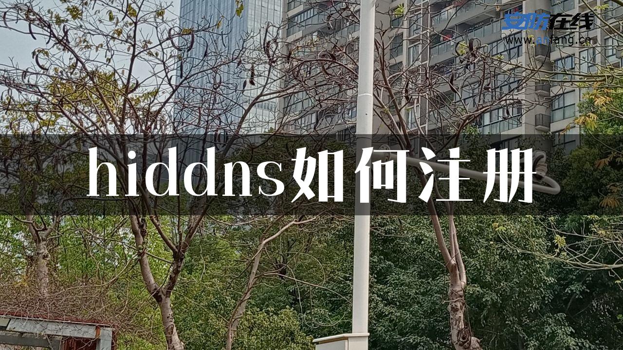 hiddns如何注册