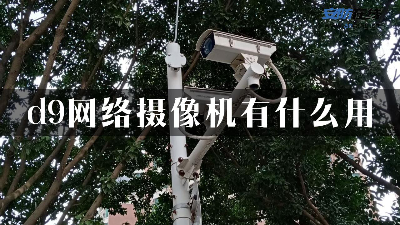 d9网络摄像机有什么用