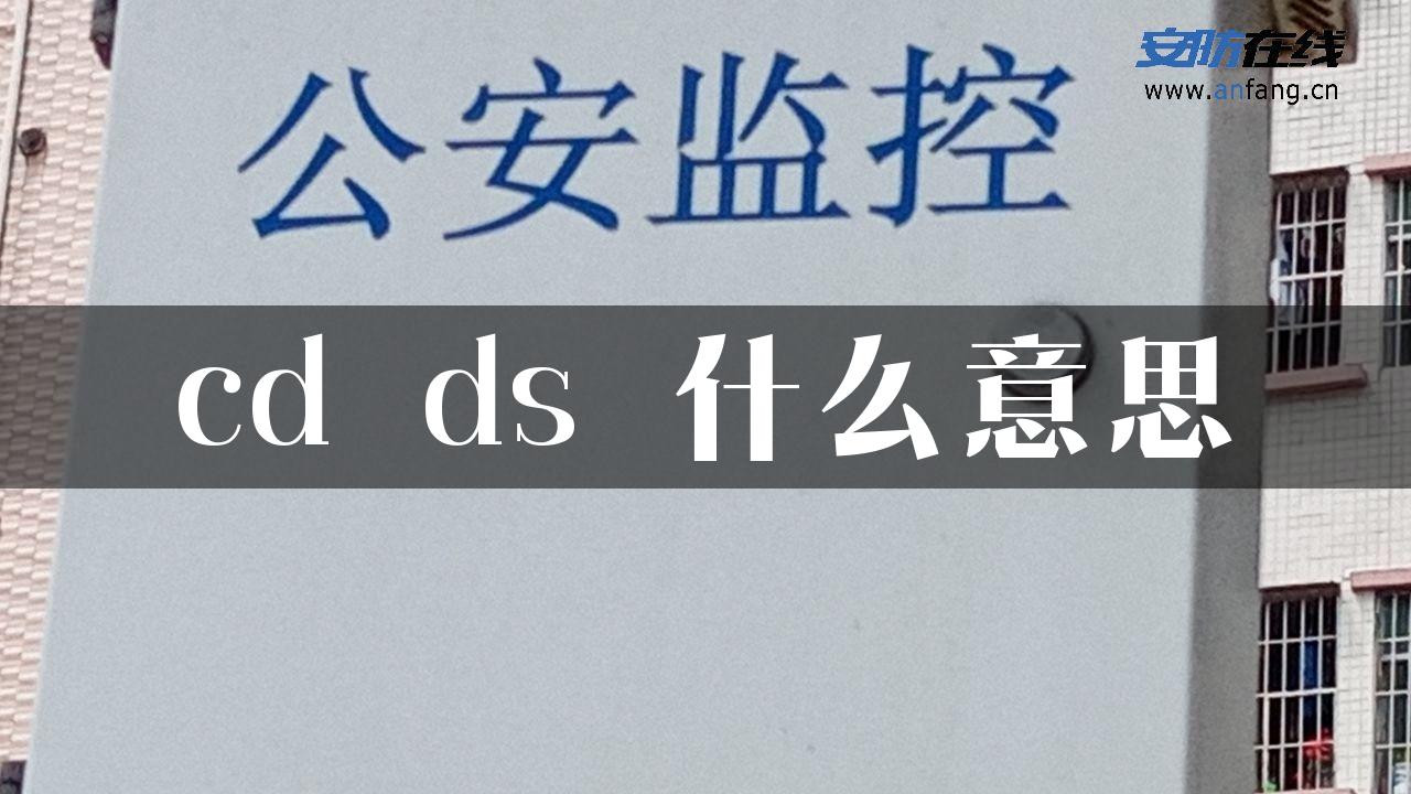 cd ds 什么意思