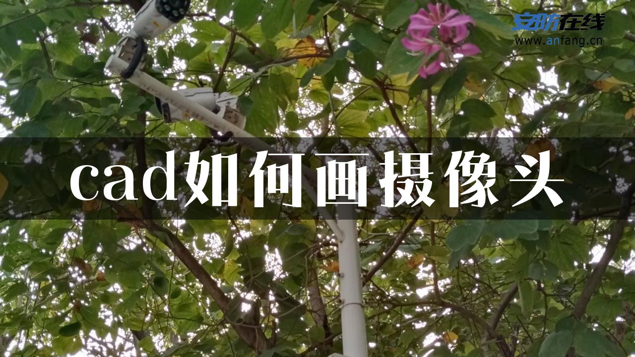 cad如何画摄像头