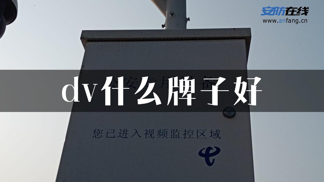 dv什么牌子好