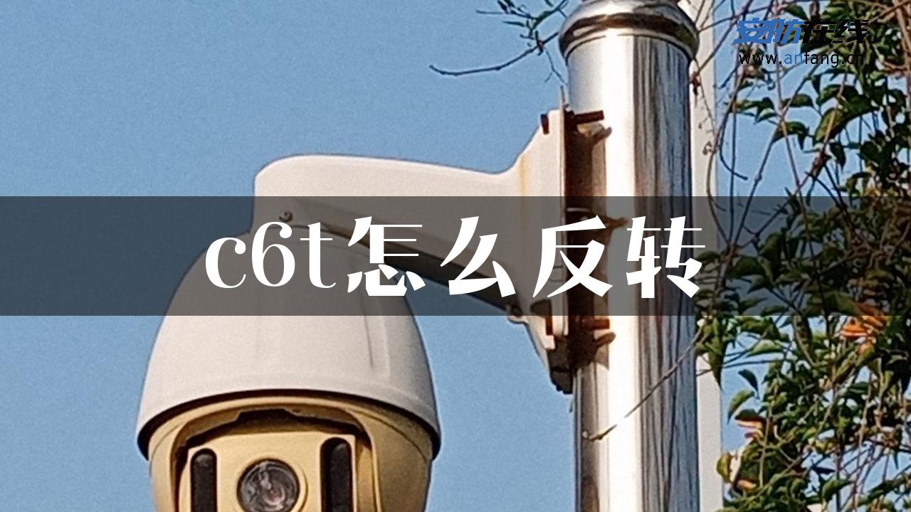 c6t怎么反转