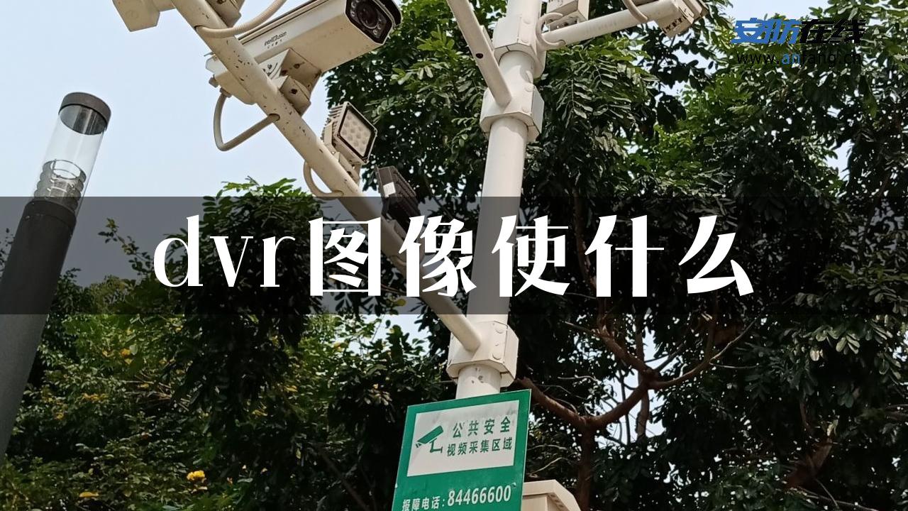 dvr图像使什么