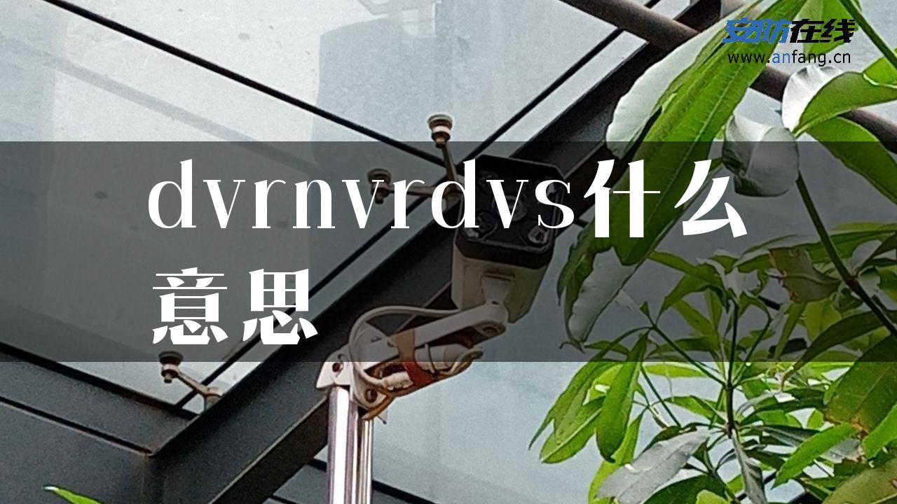 dvrnvrdvs什么意思