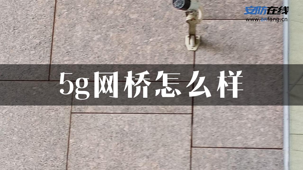 5g网桥怎么样