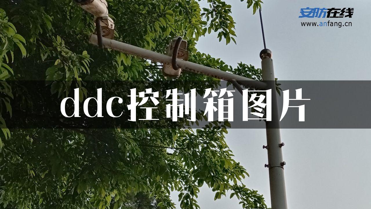 ddc控制箱图片