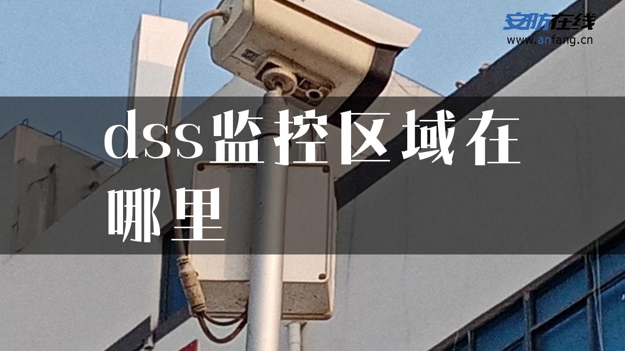 dss监控区域在哪里