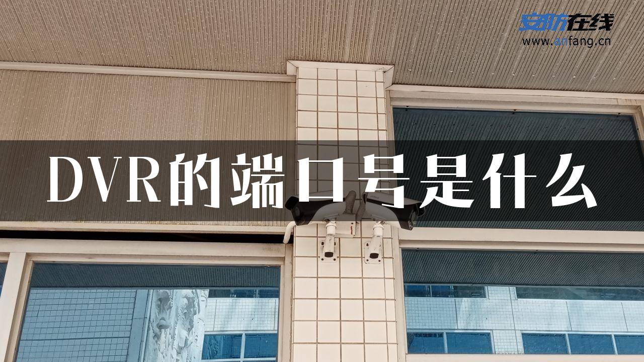 DVR的端口号是什么