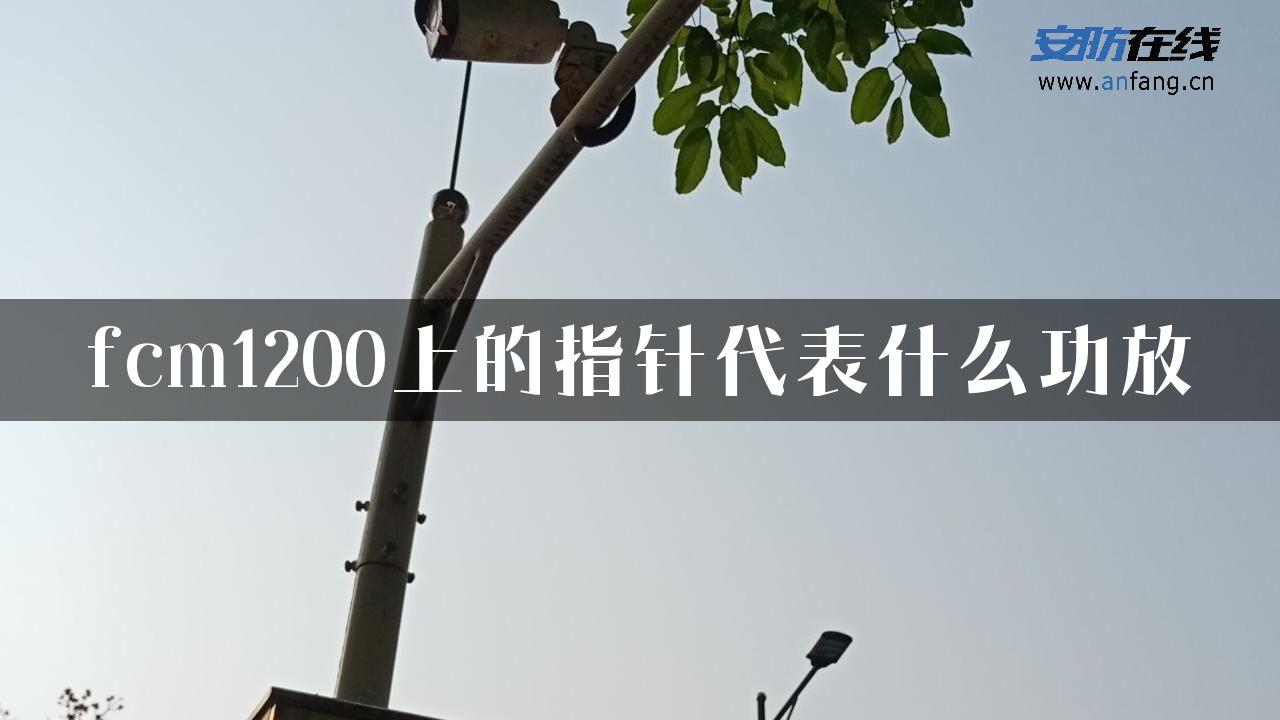 fcm1200上的指针代表什么功放