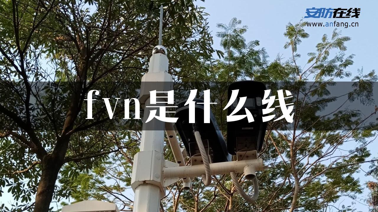 fvn是什么线