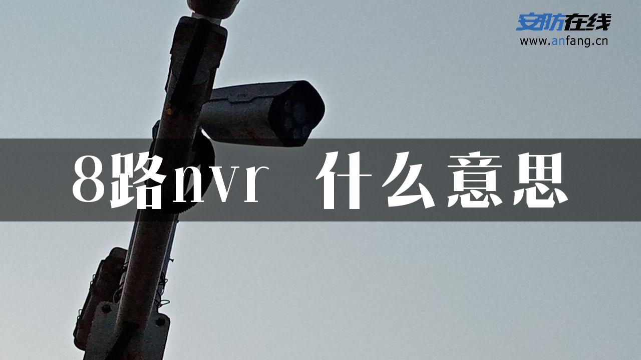 8路nvr 什么意思