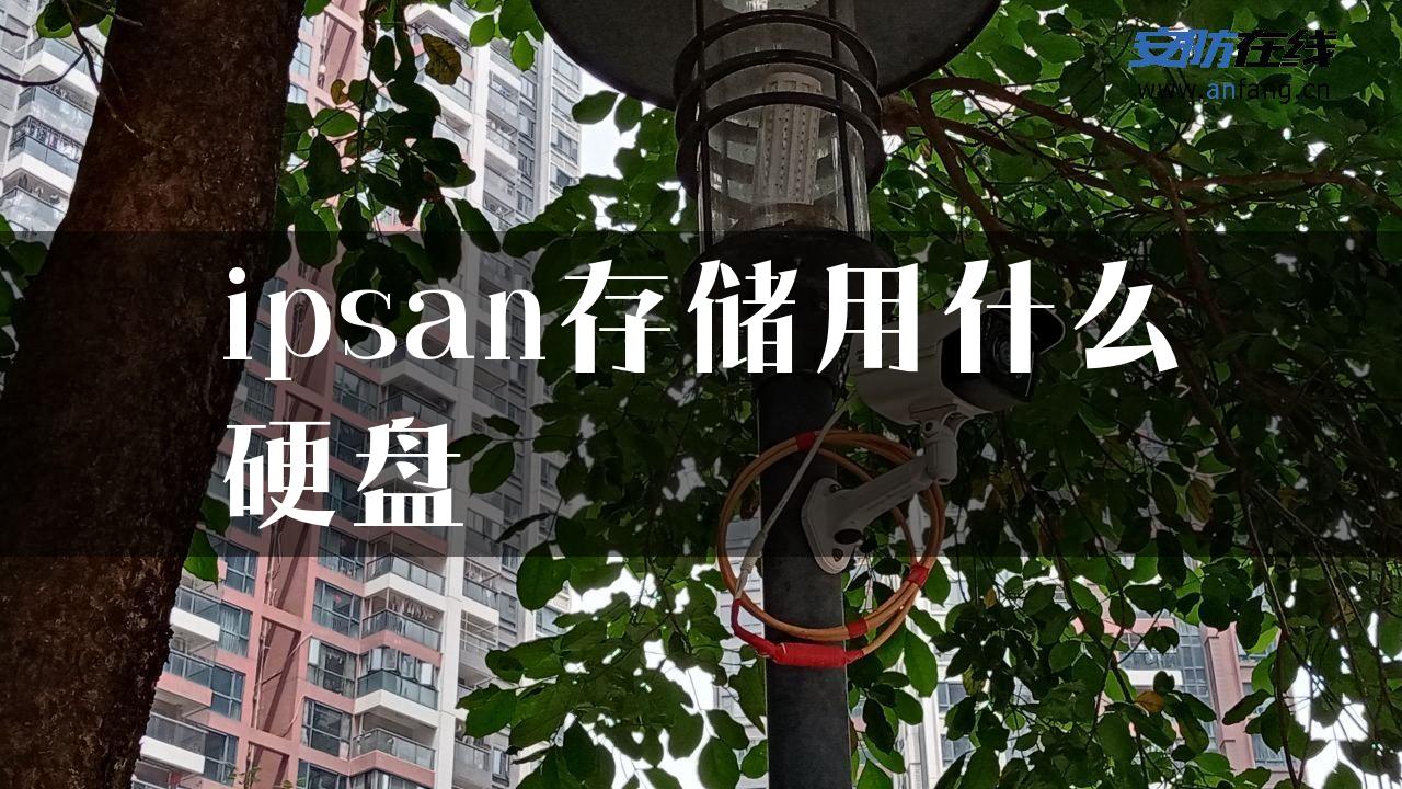 ipsan存储用什么硬盘