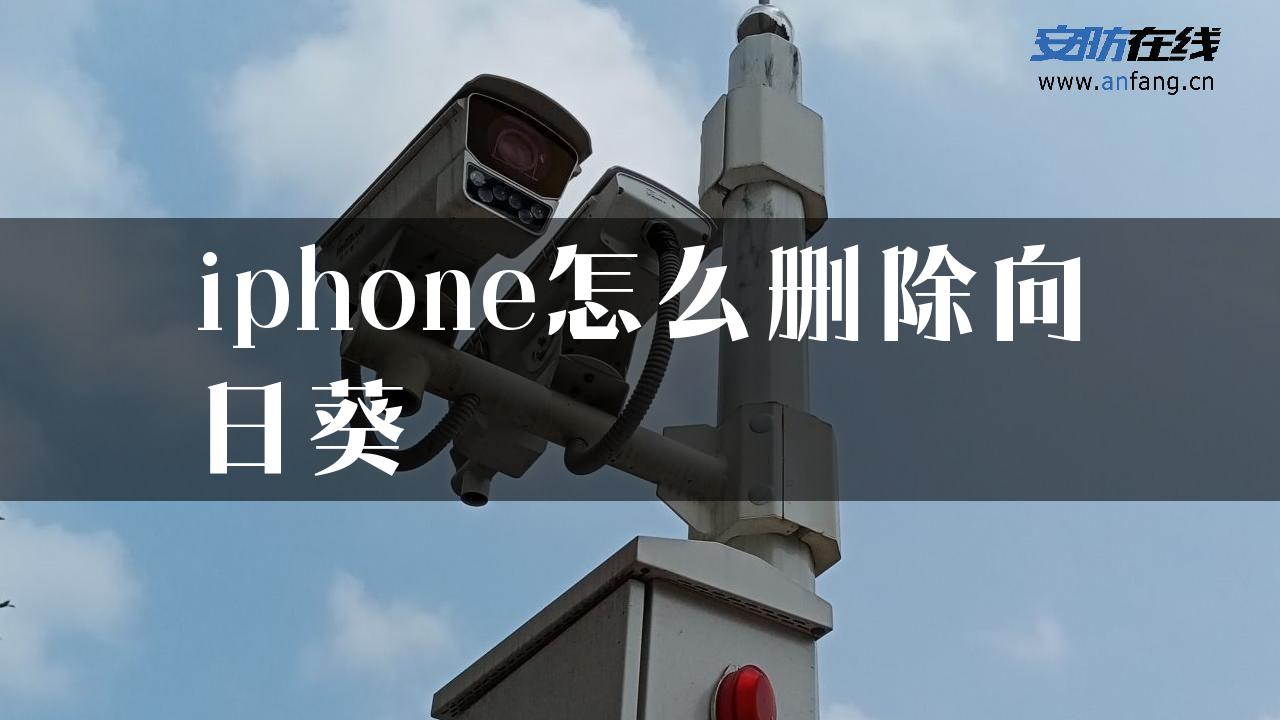 iphone怎么删除向日葵