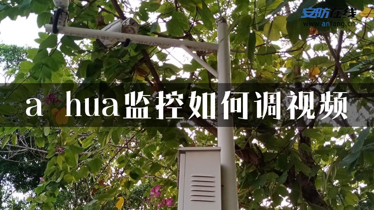 a hua监控如何调视频