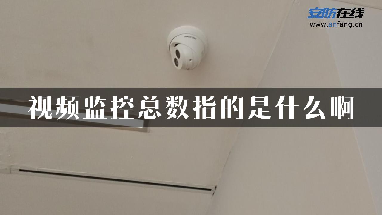 视频监控总数指的是什么啊