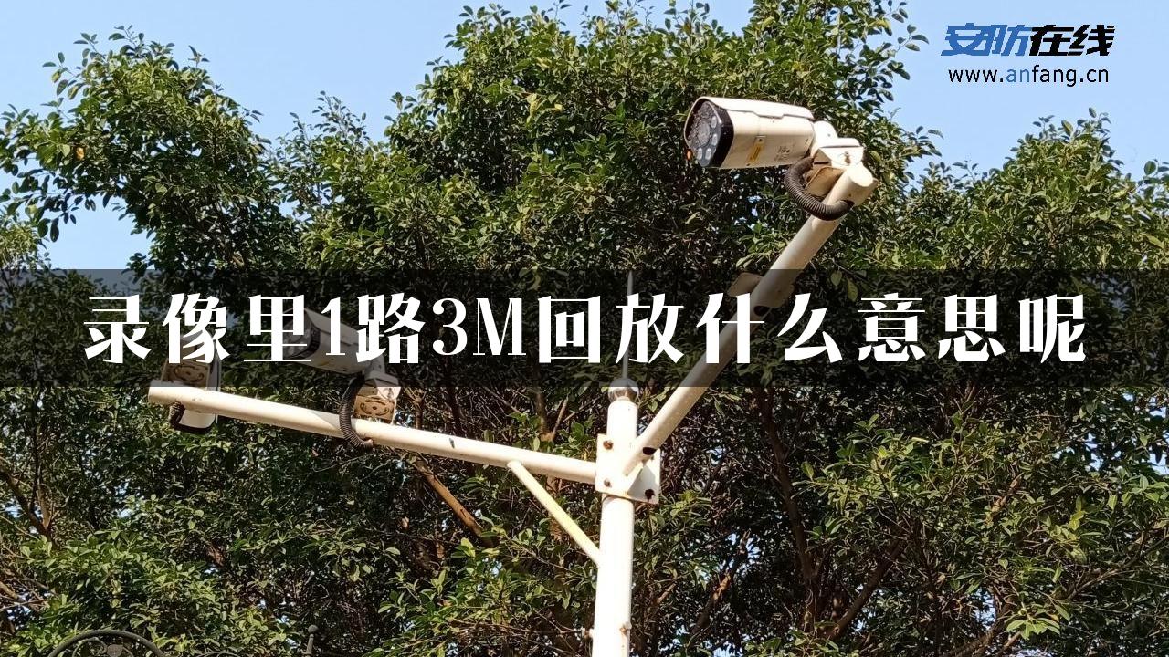 录像里1路3M回放什么意思呢