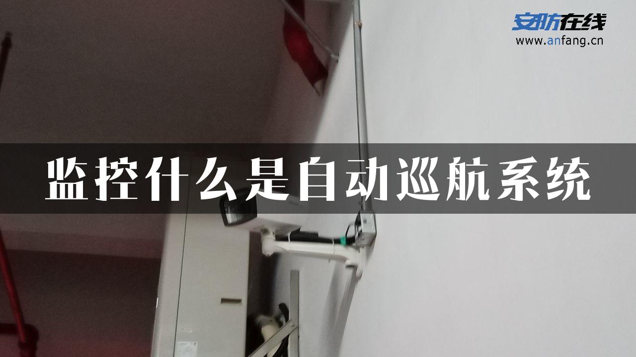 监控什么是自动巡航系统