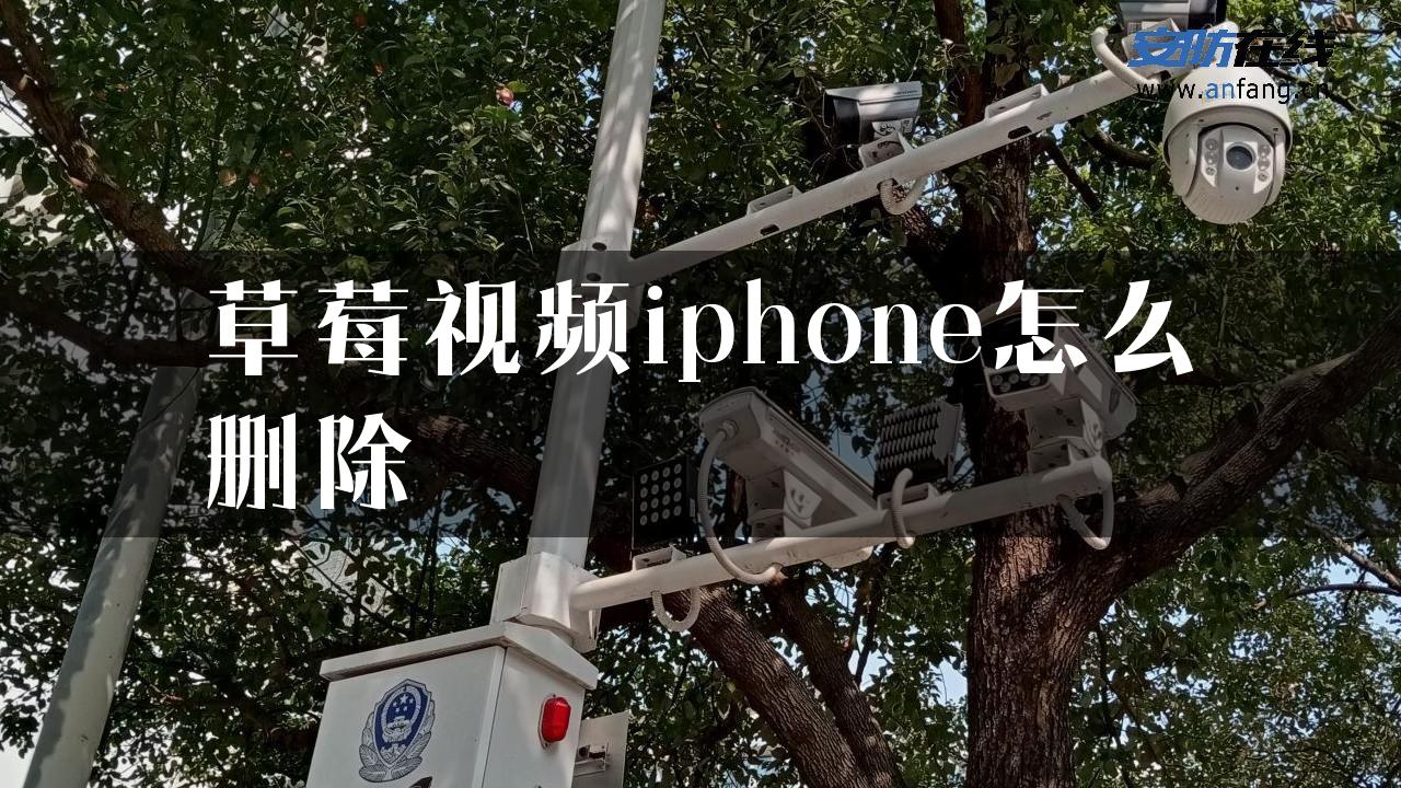 草莓视频iphone怎么删除