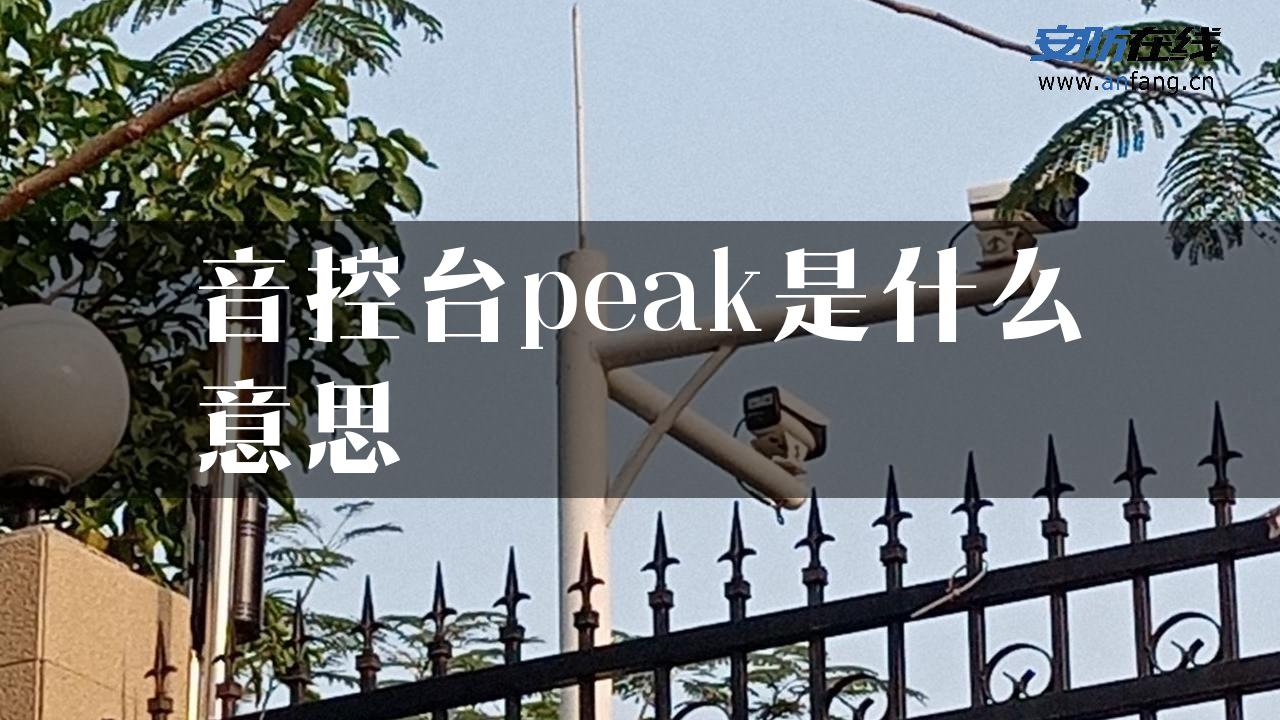 音控台peak是什么意思