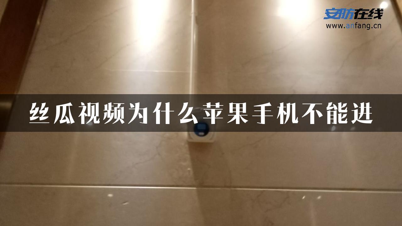 丝瓜视频为什么苹果手机不能进