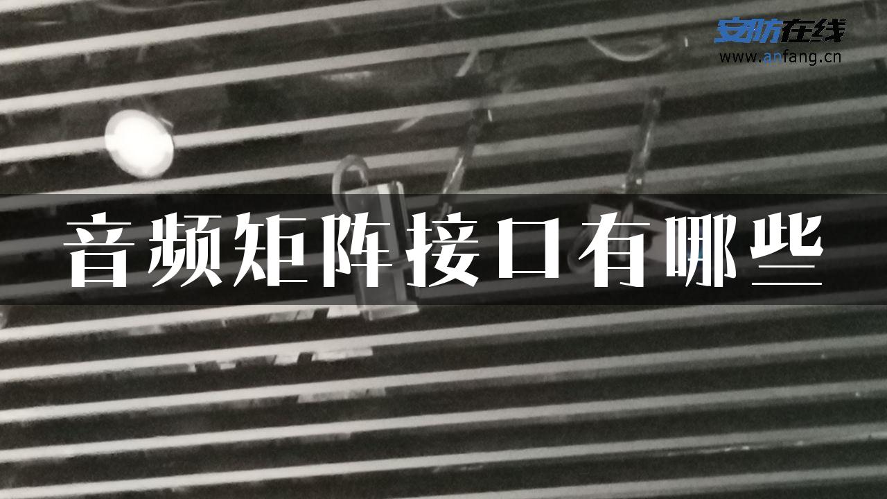 音频矩阵接口有哪些