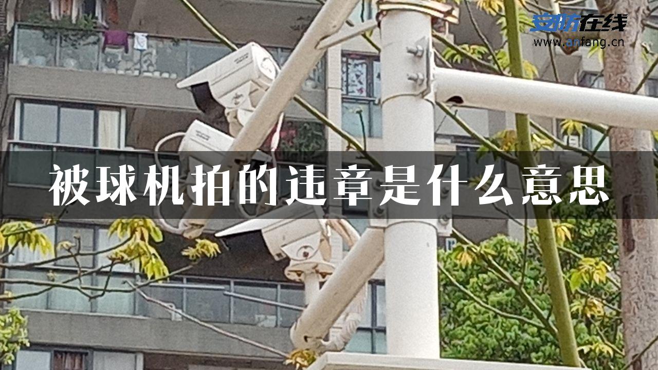 被球机拍的违章是什么意思