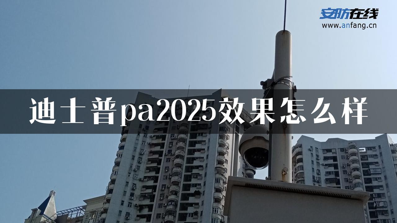 迪士普pa2025效果怎么样