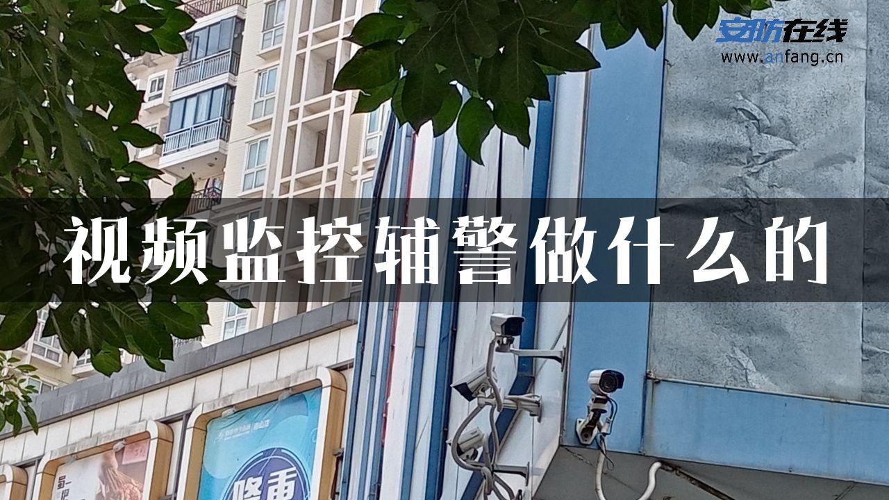 视频监控辅警做什么的