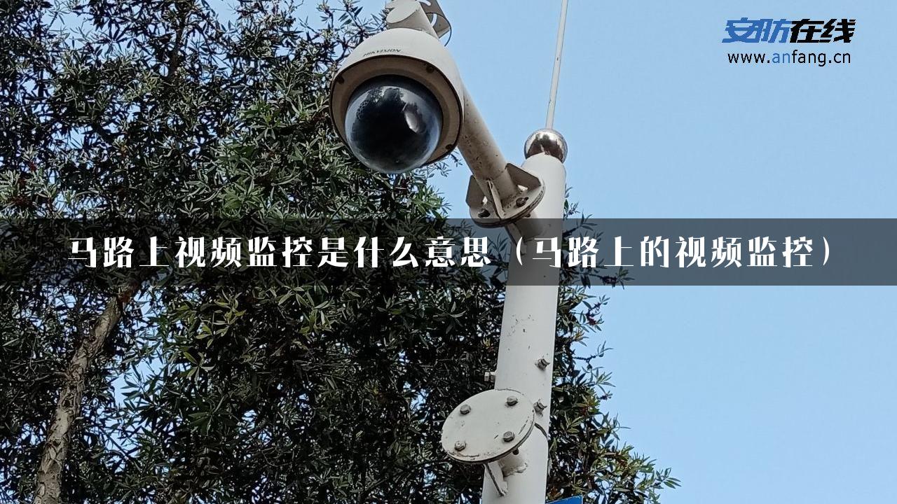 马路上视频监控是什么意思（马路上的视频监控）