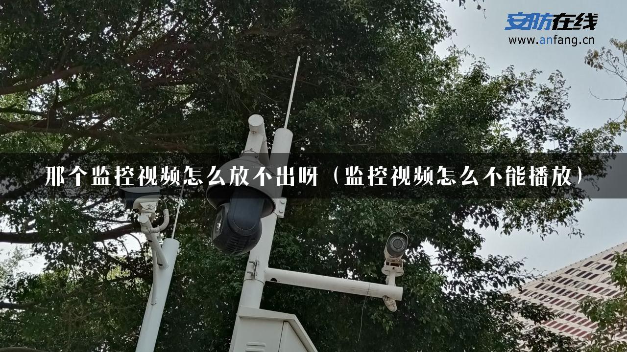 那个监控视频怎么放不出呀（监控视频怎么不能播放）