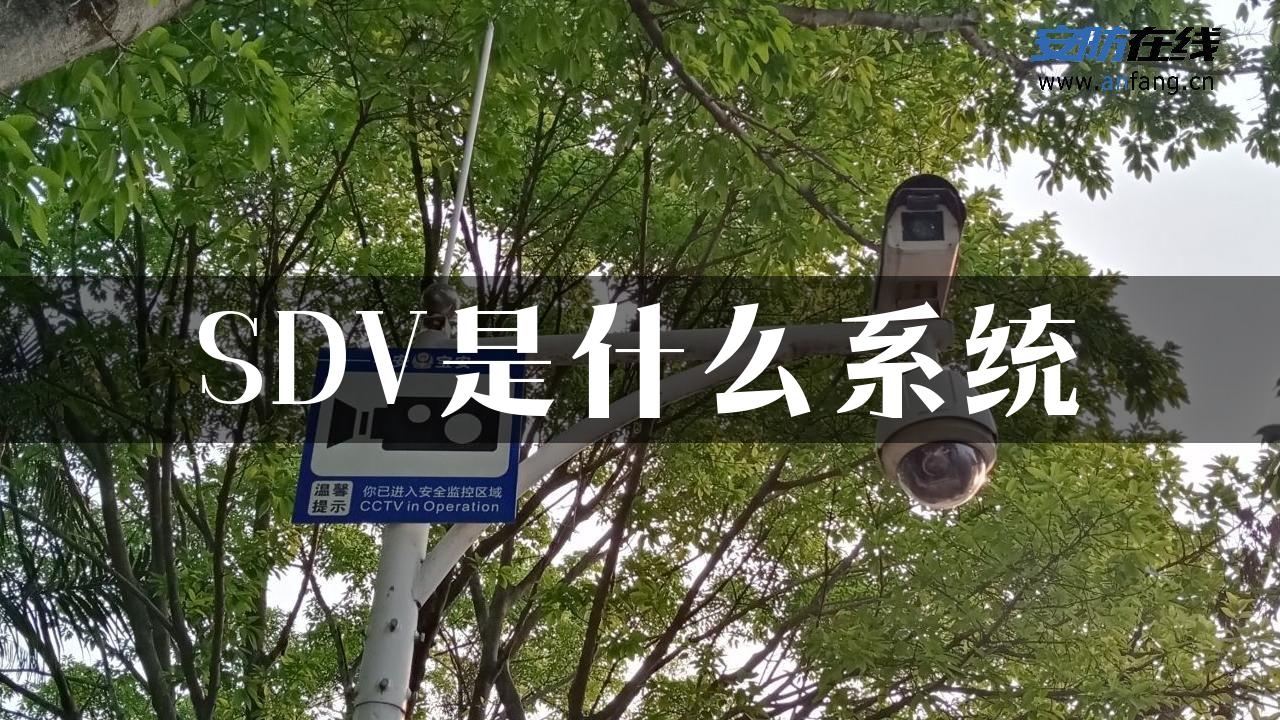 SDV是什么系统