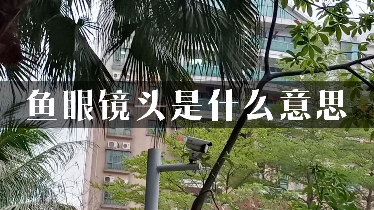 鱼眼镜头是什么意思