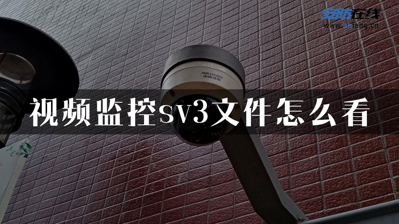 视频监控sv3文件怎么看