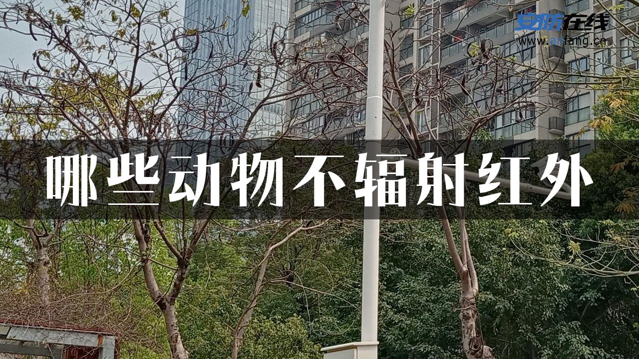 哪些动物不辐射红外