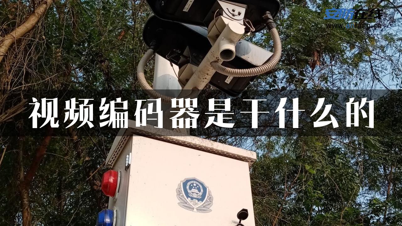 视频编码器是干什么的