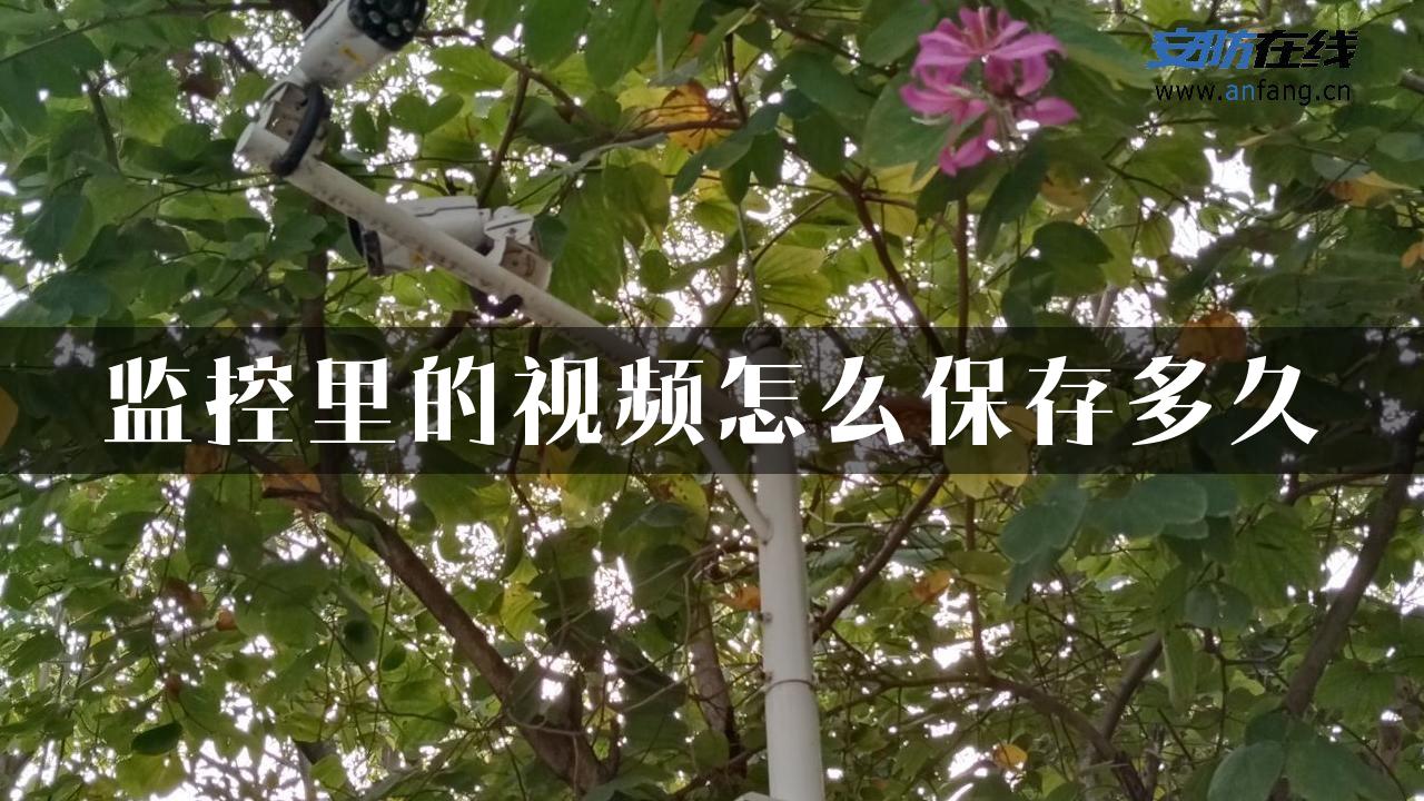 监控里的视频怎么保存多久