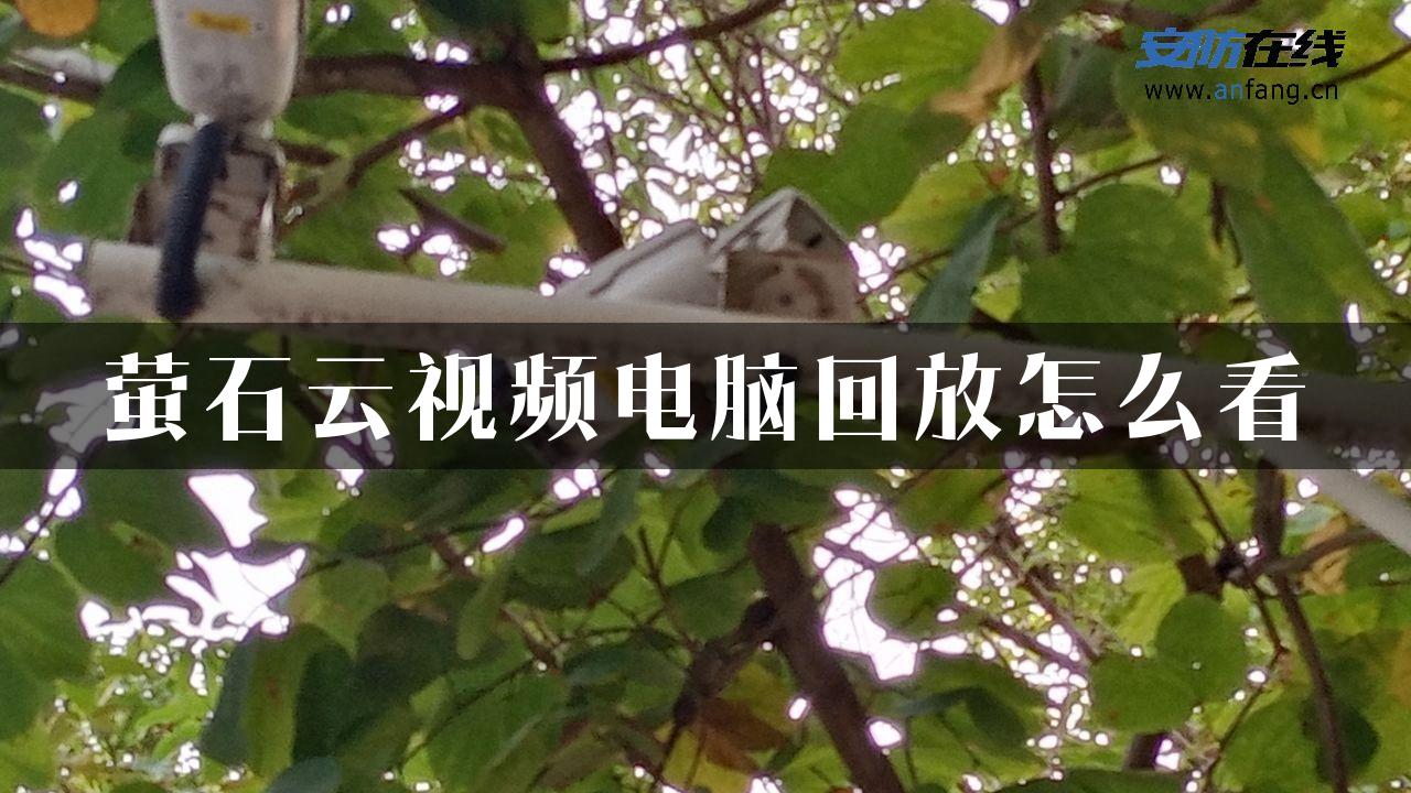 萤石云视频电脑回放怎么看