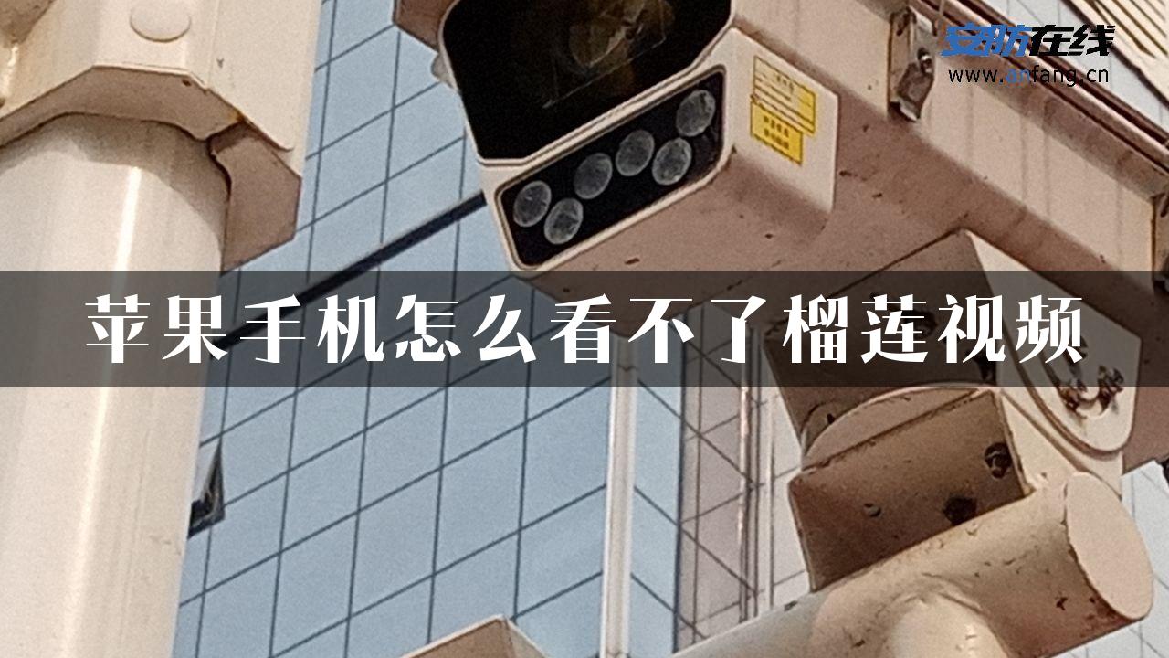 苹果手机怎么看不了榴莲视频