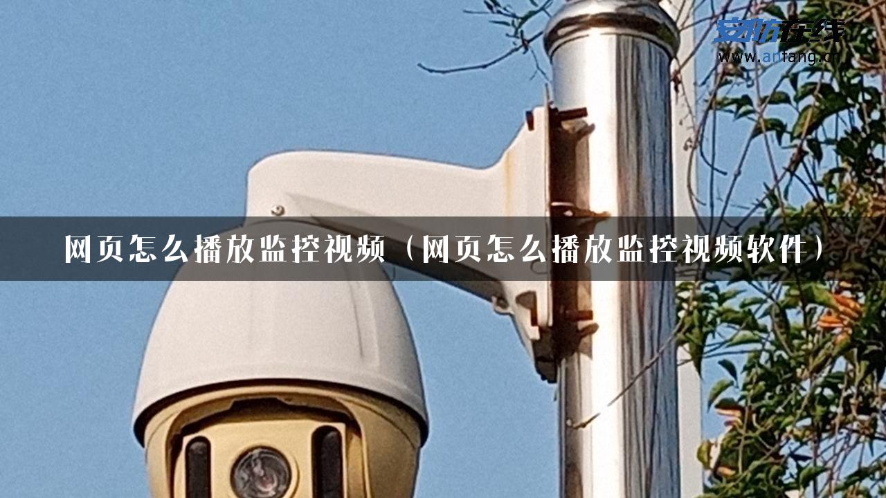 网页怎么播放监控视频（网页怎么播放监控视频软件）