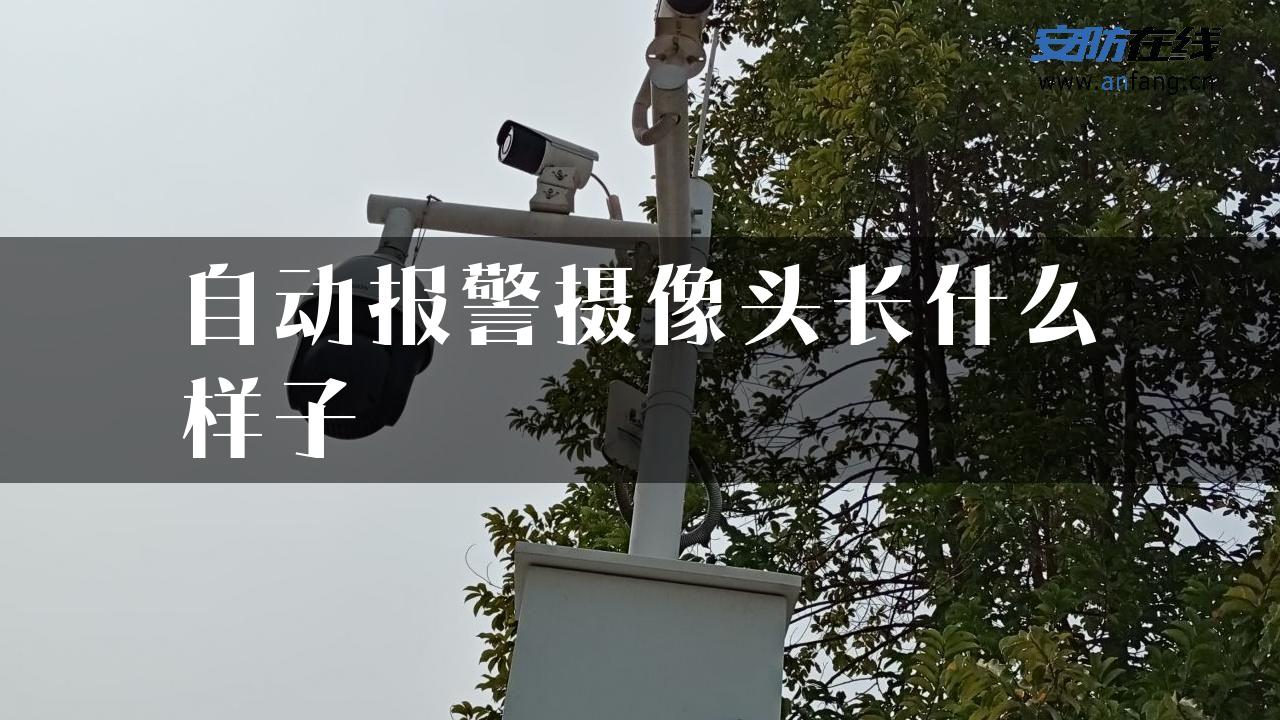 自动报警摄像头长什么样子