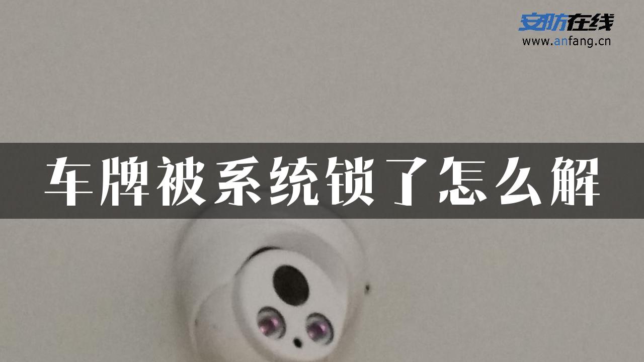 车牌被系统锁了怎么解