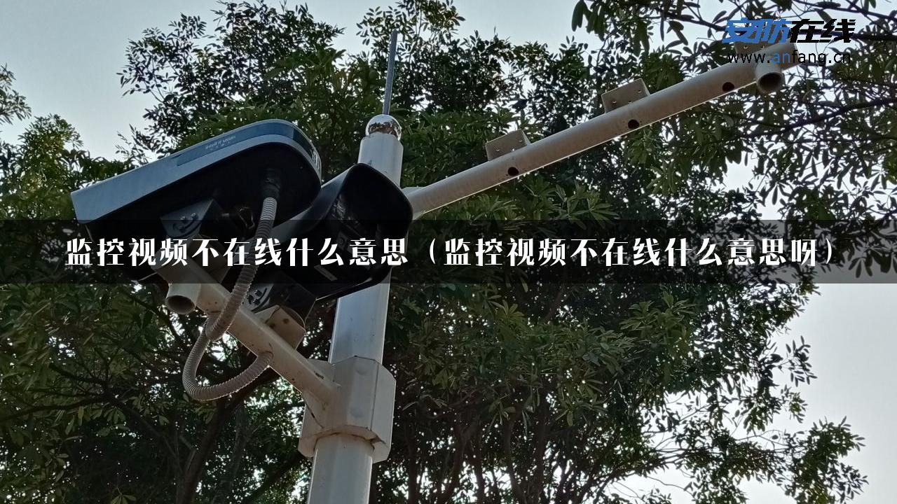 监控视频不在线什么意思（监控视频不在线什么意思呀）