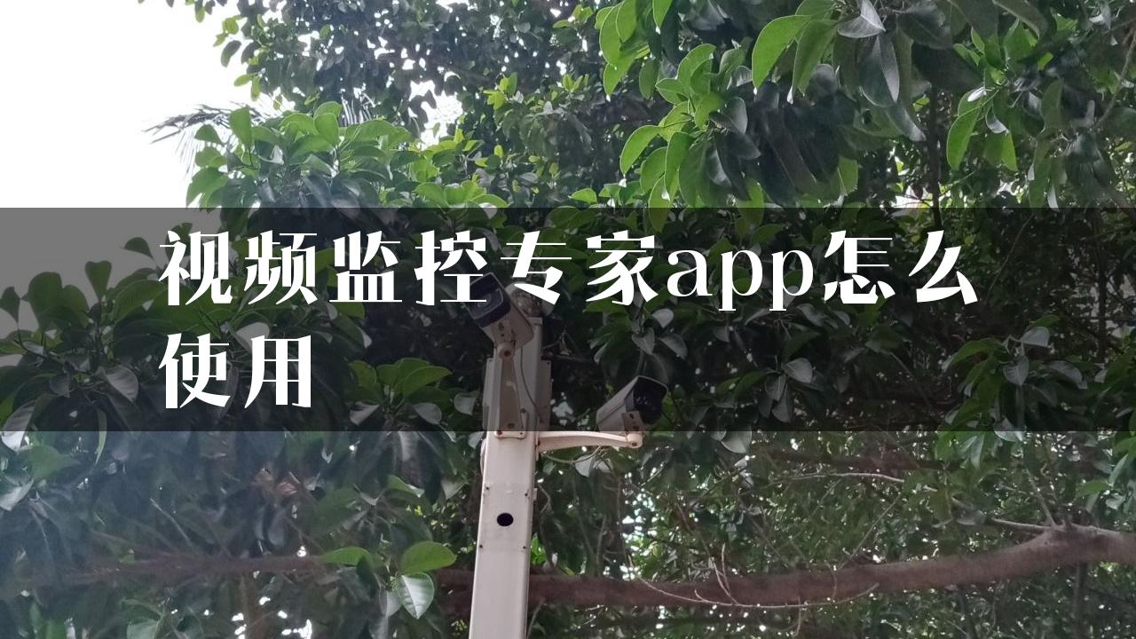 视频监控专家app怎么使用